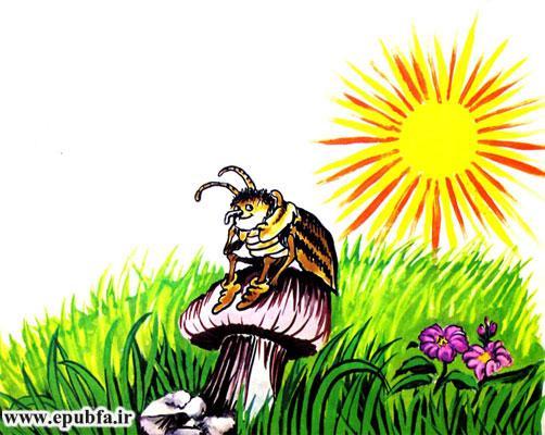 قصه آموزنده «ساس خوشبخت»-تا شقایق هست زندگی باید کرد-ارشیو قصه و داستان ایپابفا